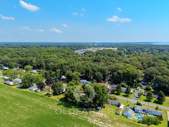 CHIPPEWA-28284-PRINT-007