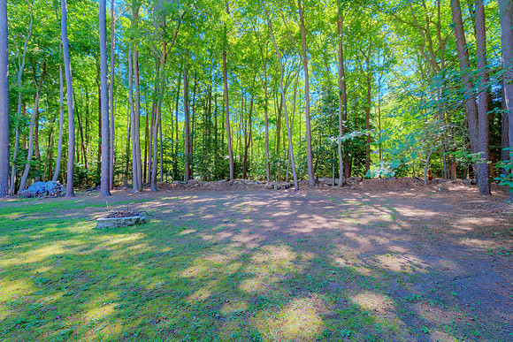POND-292-PRINT-028