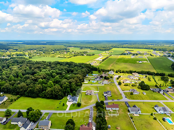COUNTRY-MEADOW-25951-PRINT-005