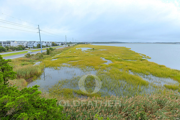 BEACH-COVE-29066-PRINT-041