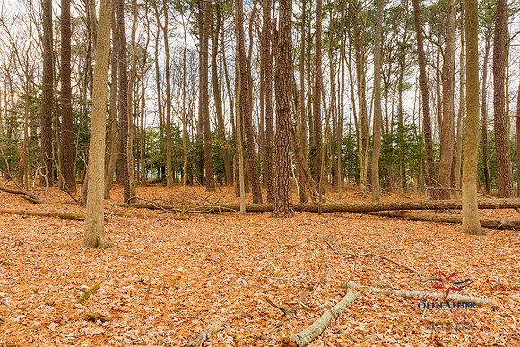 67 KENT AVE, Bethany Beach, Delaware