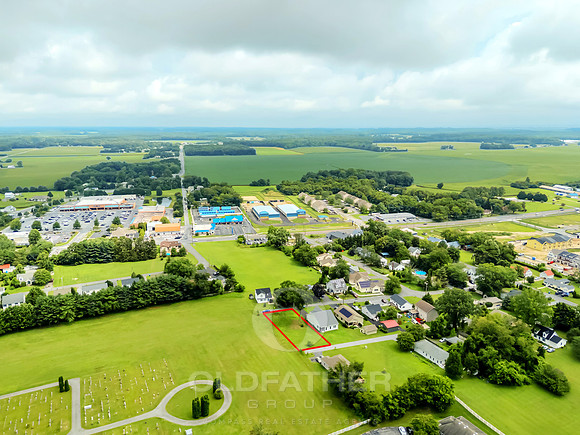 HOLLAND-310-PRINT-016