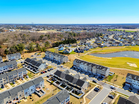 BRUNSWICK-20849-PRINT-007