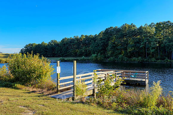 VILLAGE-OF-COOL-BRANCH-PRINT-008