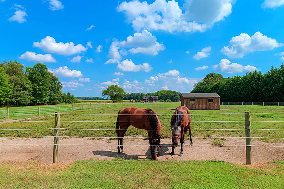 LYNNBURY-PRINT-095