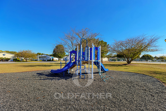 VILLAGE-OF-COOL-BRANCH-PRINT-013