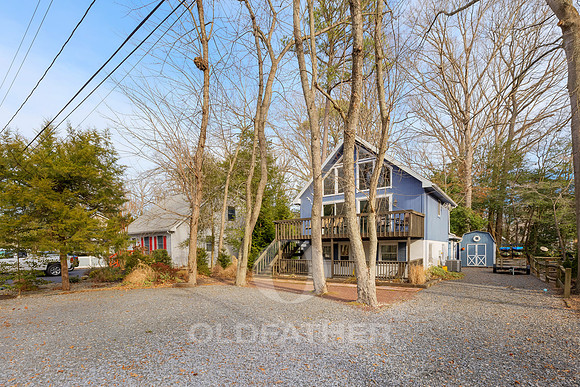 SYCAMORE-22851-PRINT-005