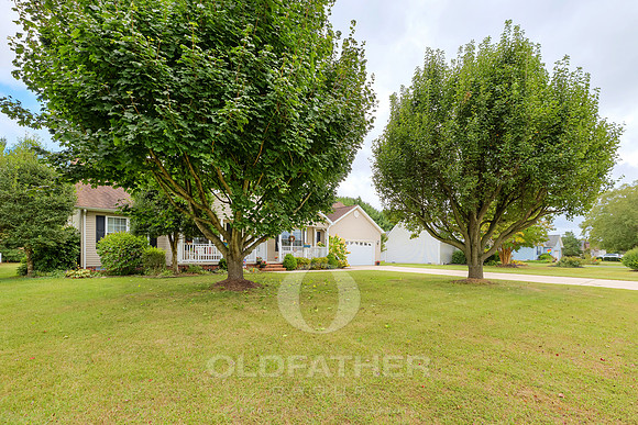 ANCIENT-OAK-12-PRINT-014