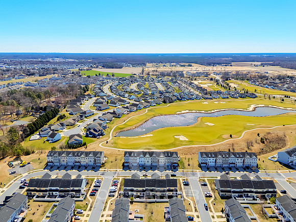 BRUNSWICK-20849-PRINT-011