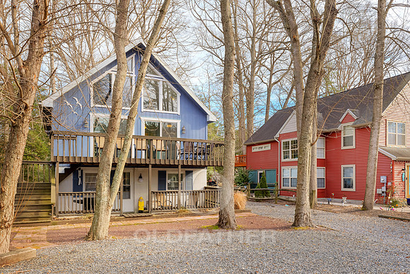 SYCAMORE-22851-PRINT-002