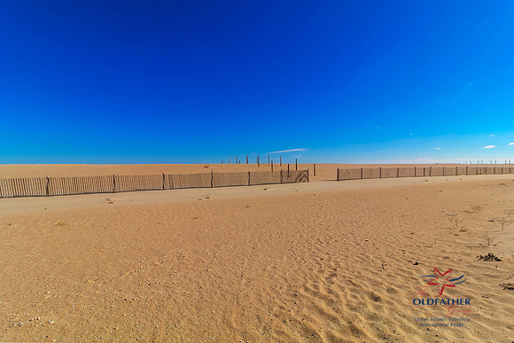 SBAYSHORE-PRINT-010