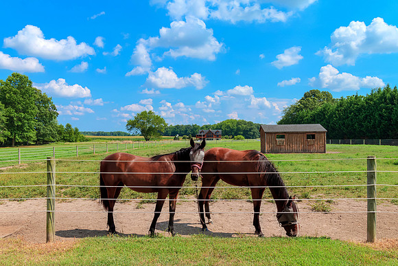 LYNNBURY-PRINT-094