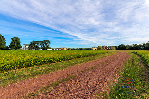 8437 GREENWOOD RD, Greenwood (Sussex), Delaware
