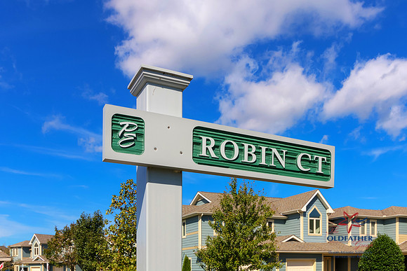 ROBIN-PRINT-051