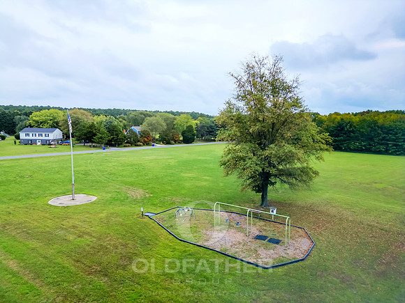 TOWER-GARDENS-PRINT-015