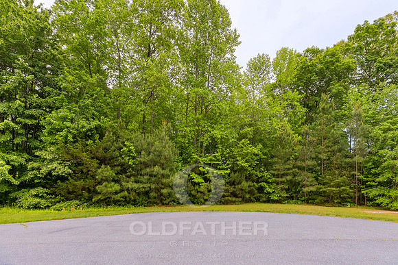 SPRING-FOREST-21883- PRINT-031