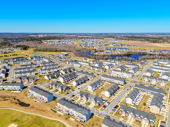 BRUNSWICK-20849-PRINT-004