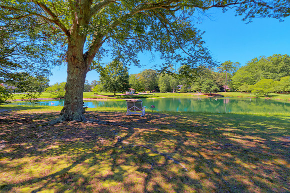 POND-DOCK-PRINT-006