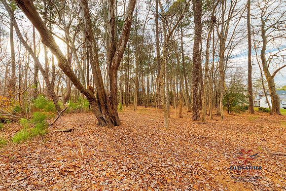 67 KENT AVE, Bethany Beach, Delaware