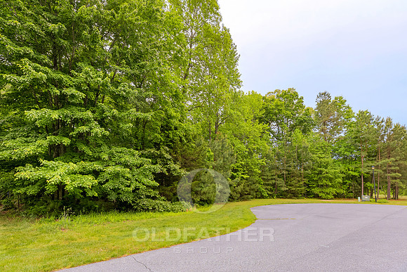 SPRING-FOREST-21883- PRINT-030
