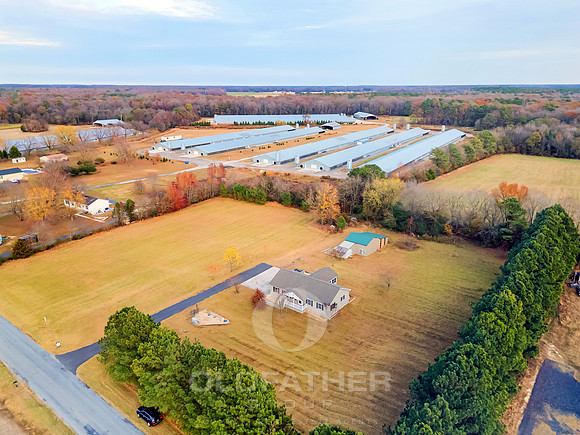 WEBB-FARM-11169-PRINT-010