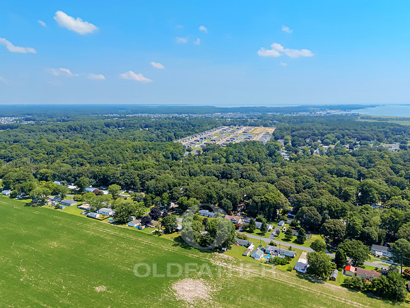 CHIPPEWA-28284-PRINT-005