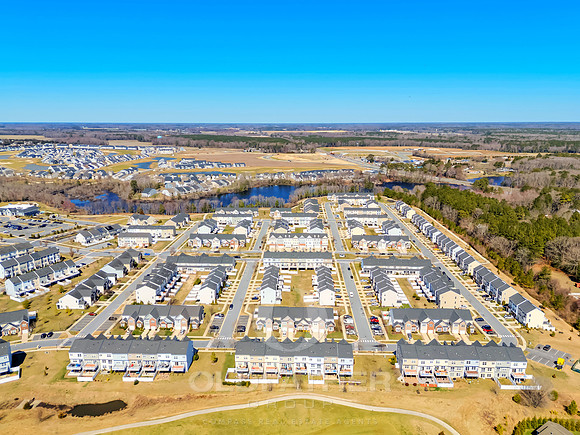 BRUNSWICK-20849-PRINT-005