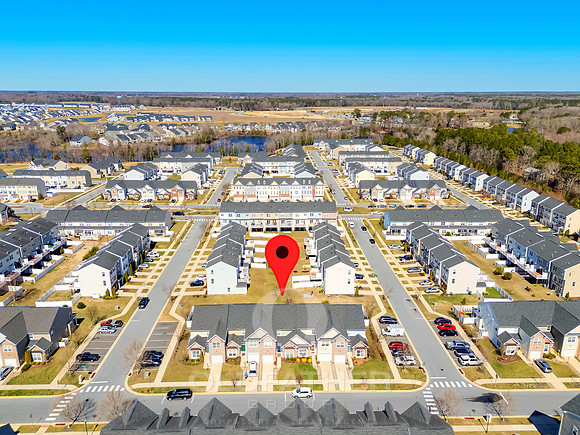 BRUNSWICK-20849-PRINT-002B