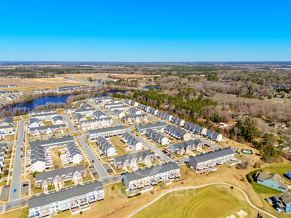 BRUNSWICK-20849-PRINT-006