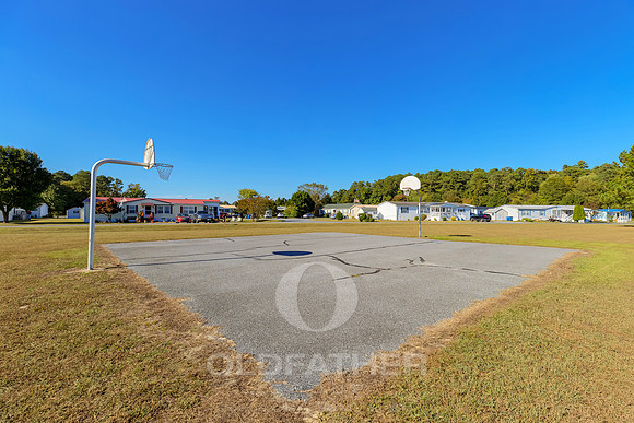VILLAGE-OF-COOL-BRANCH-PRINT-015