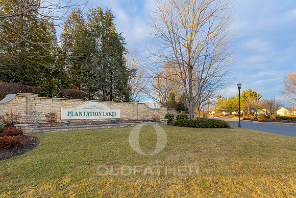 BRUNSWICK-20868-PRINT-034