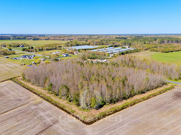 SE-EAST-TRAP-POND-5ACRE-PRINT-008