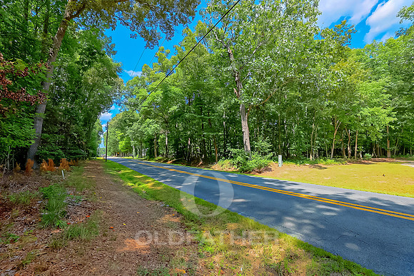 WOOD-BRANCH-LOT5-PRINT-003