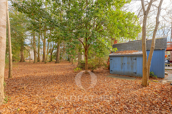 SYCAMORE-22851-PRINT-016