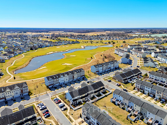 BRUNSWICK-20849-PRINT-009
